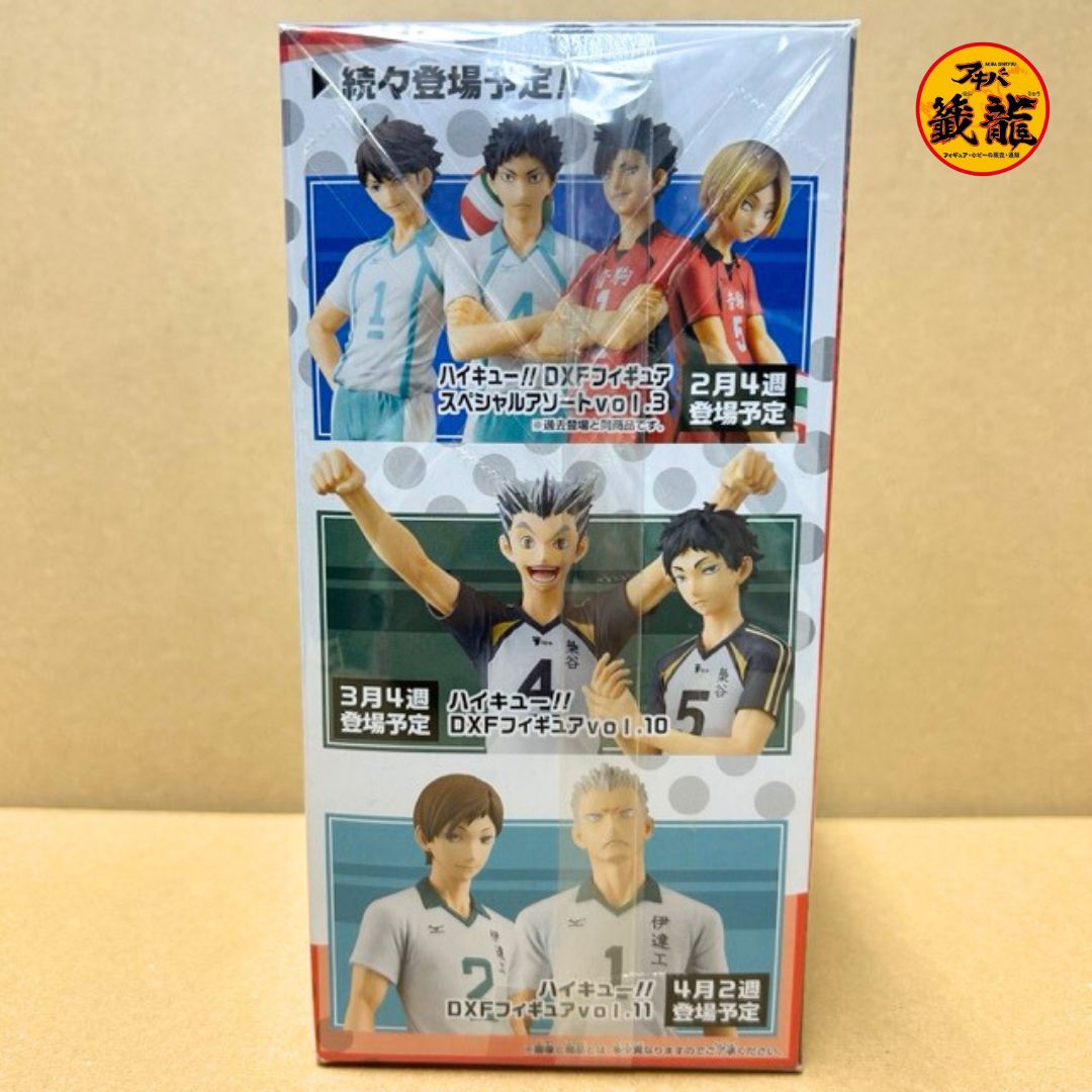 Figure Haibane Lev "Haikyu!!" DXF Figure vol.9
