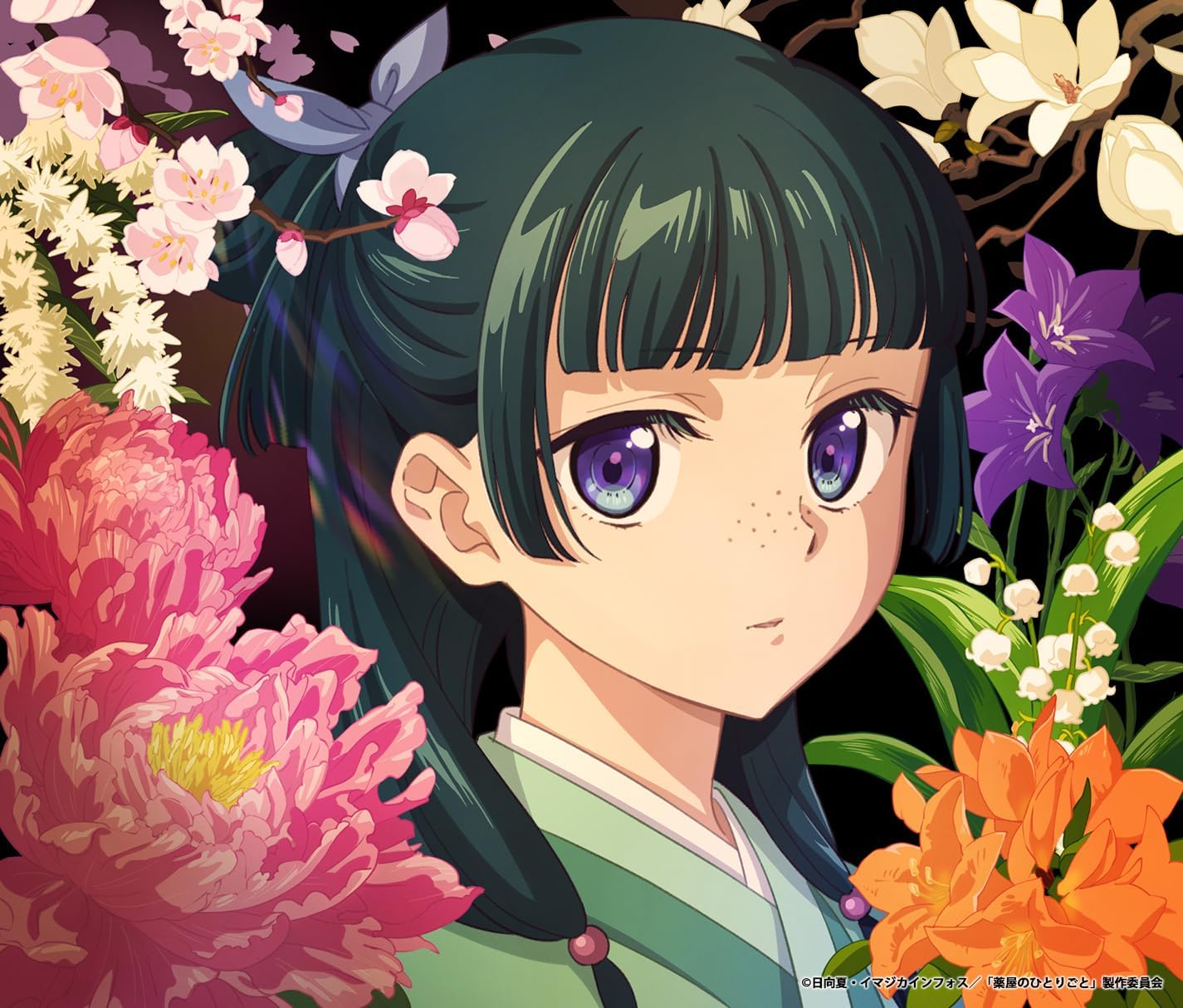 薬屋のひとりごと